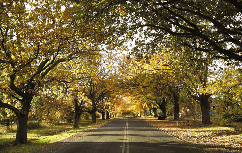 Glenlyon, Victoria, Australia