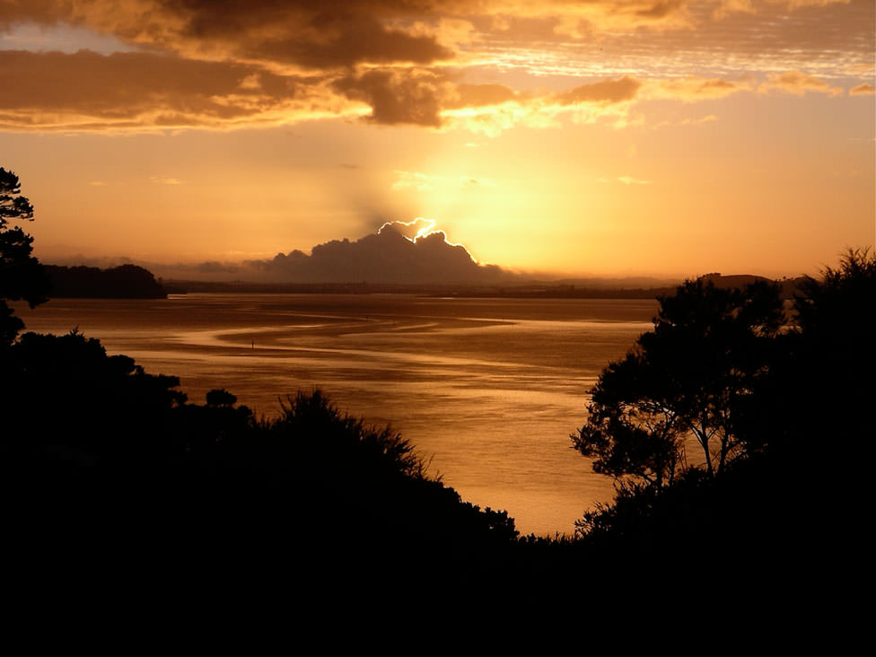 Manukau Harbour New Zealand