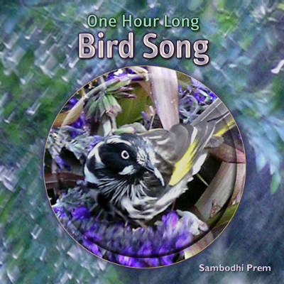 Album cover for 'One Hour Long Bird Song' by Sambodhi Prem