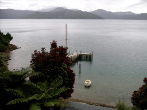 Marlborough Sounds, South Island, New Zealand.