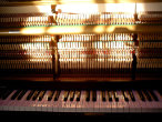 Sunlit piano.